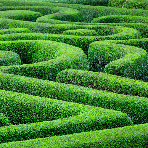 Outdoor play - escape the maze!