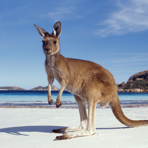 Things to see in Esperance