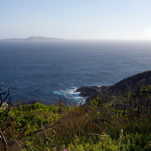 Visit Albany WA - enjoy whale watching in the season