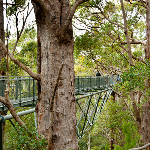 Outdoor adventure and Zip line